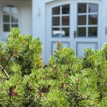 Ocean-view-ii-holiday-apartments-sylt Апартаменты Sylt